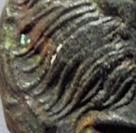 Identification-Help---Greek-Bronze---Bow-&-Case